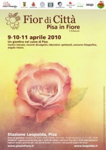 fiori-a-pisa-con-fior-di-citta