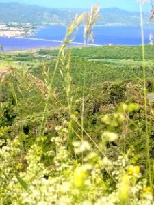 La laguna di Orbetello 3