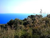 monte-argentario01_web