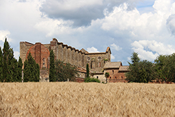 Abbazia-di-San-Galgano-di-Mario-Vanin