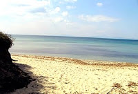 Mare Toscana. Cala Violina.