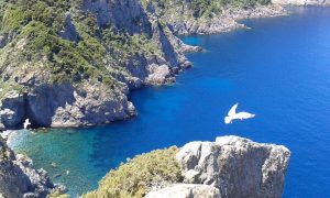 isola di gorgona spiagge