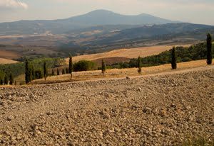 crete senesi