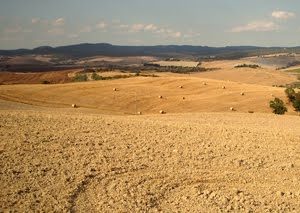 immagine delle crete senesi