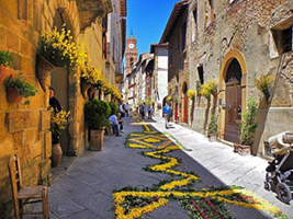 pienza con i fiori