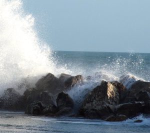 marina di pisa scogli