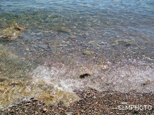 spiaggia di giannutri