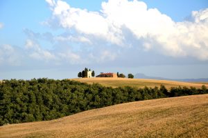 campi via francigena