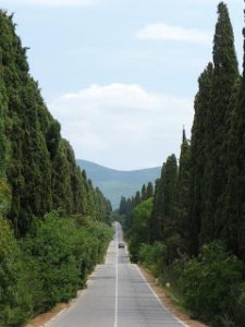 bolgheri 1 2013