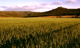 natura a bolgheri