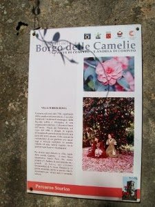 mostra_antiche_camelie_2