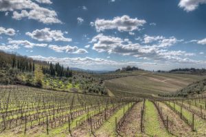 Scopri il paesaggio mozzafiato del Chianti!