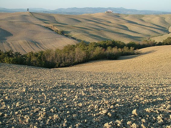 mercatino-delle-cerete-asciano