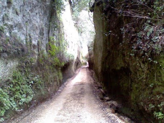 Gli etruschi le vie cave ed il cavone a sovana