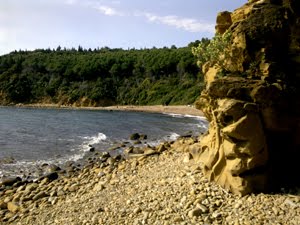 Mare Toscana. Le spiagge del Golfo di Follonica, dal Puntone a Puntala.