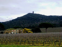 torre-di-donoratico-2010