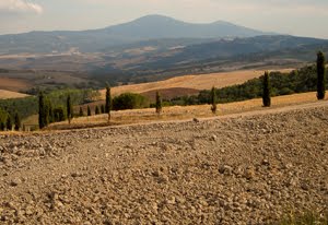 crete senesi immagini