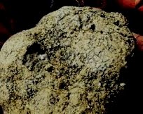 tartufo-bianco-e-nero-2