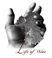 life-of-wine-viaggio-nelle-eta-del-vino-2010