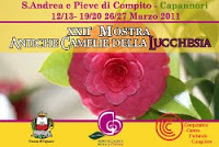 mostracamelie2011