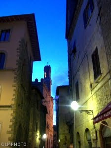 volterra2-2011