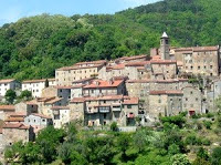 sassetta 2012