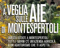montespertoli 2012 01