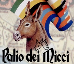 Palio dei Micci 2014