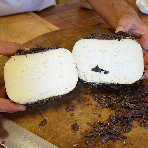 pecorino di bacco particolare