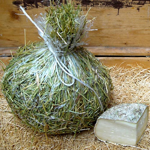 pecorino semistagionato dentro al fieno