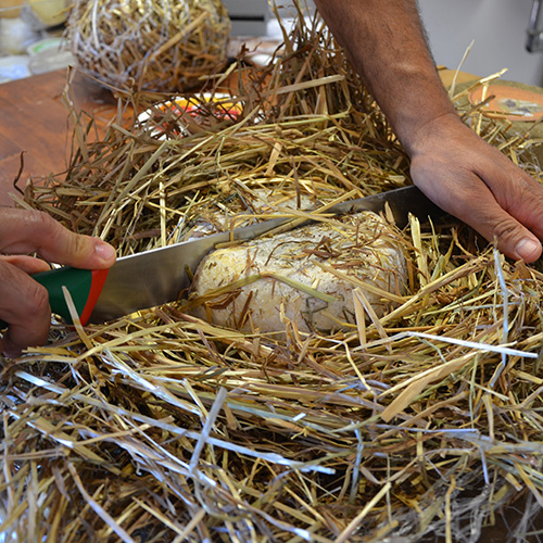 pecorino semi stagionato nel fieno a latte crudo
