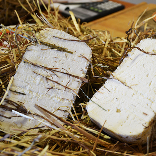 pecorino semistagionato nel fieno di latte crudo toscano