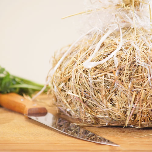 pecorino-sotto-fieno-stagionato-4