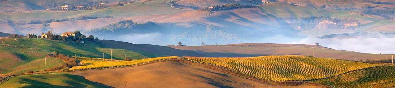 val d'orcia paesaggio