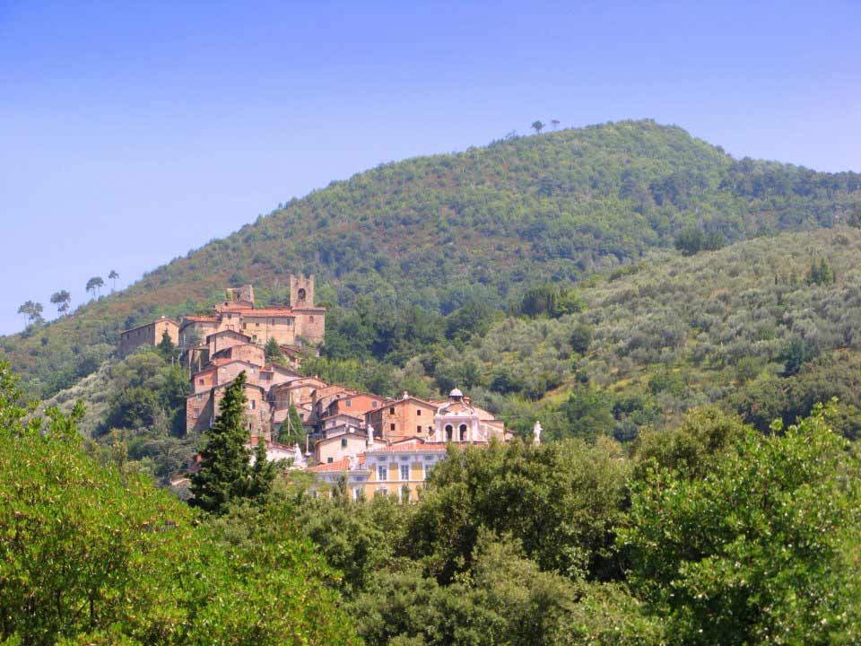 Lucca Parco della Villa Reale di Marlia