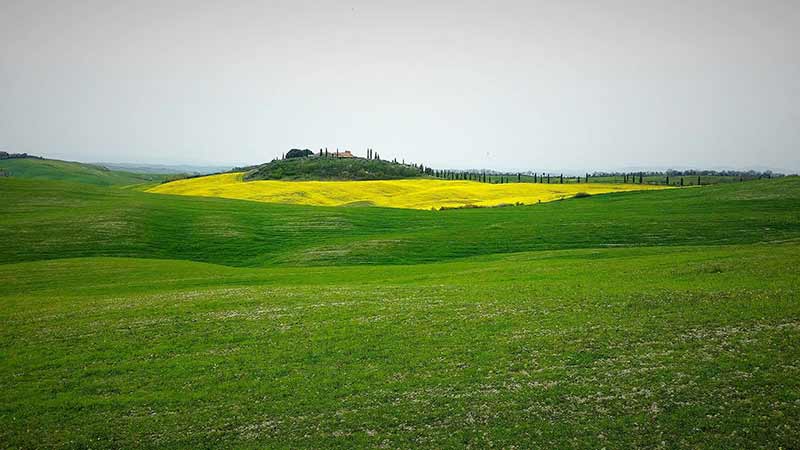 Simone Cicalini provincia di Siena