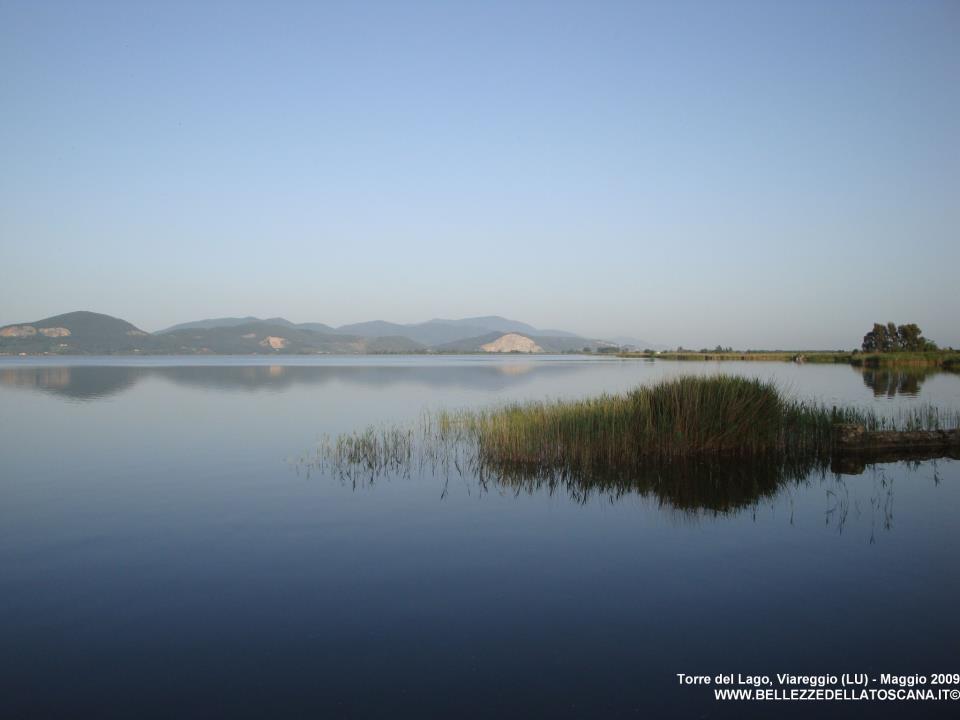 Torre del Lago Puccini