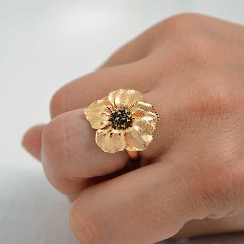 anello-panse