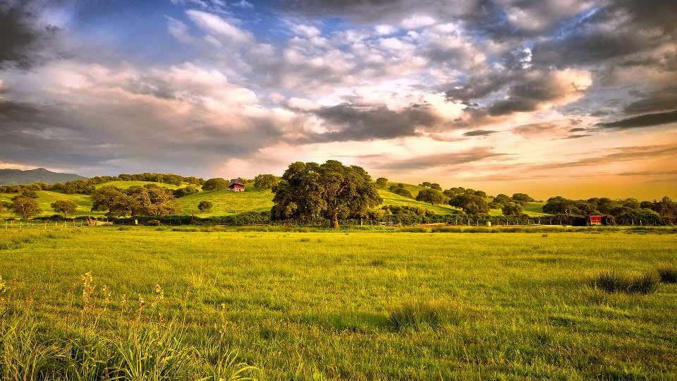 campagna e pace in toscana