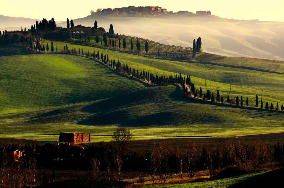 campagna toscana cipressi