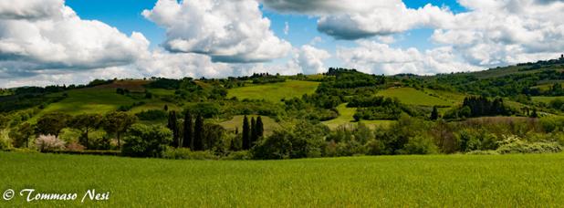 colline di Montespertoli di Tommaso Nesi