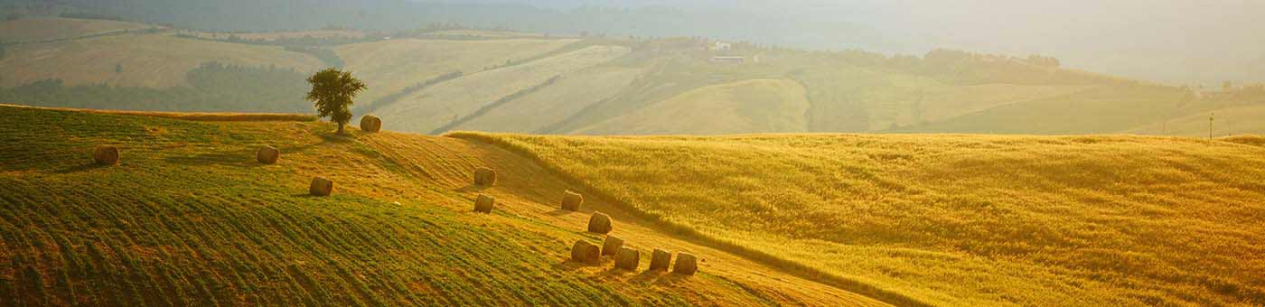 le colline toscane