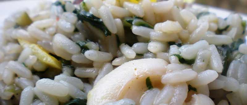 risotto seppie bietole