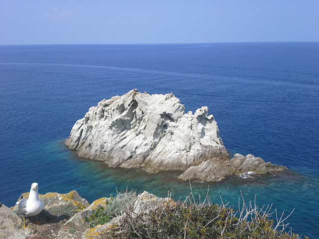 Isola d'Elba. Enfola. Scoglio della nave