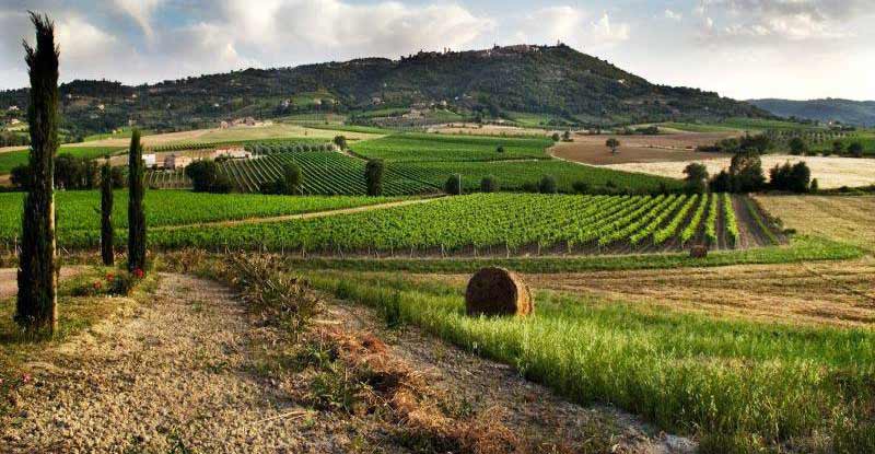 Campagna toscana