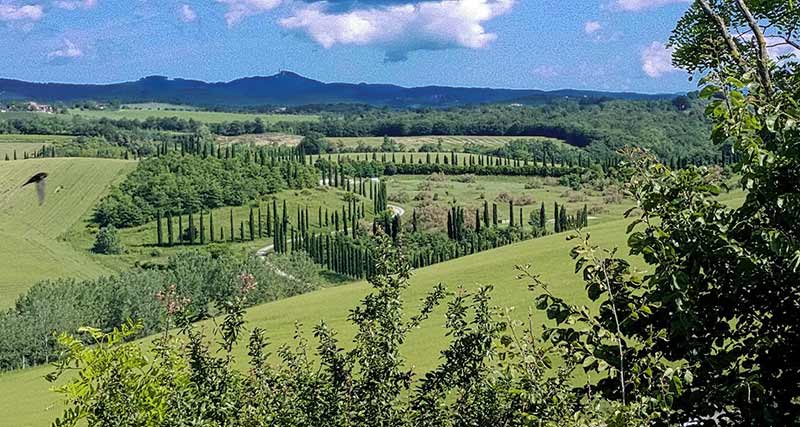 castelnuovo berardenga di Andrea Parlascino