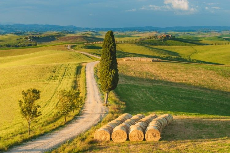 paeaggio toscano