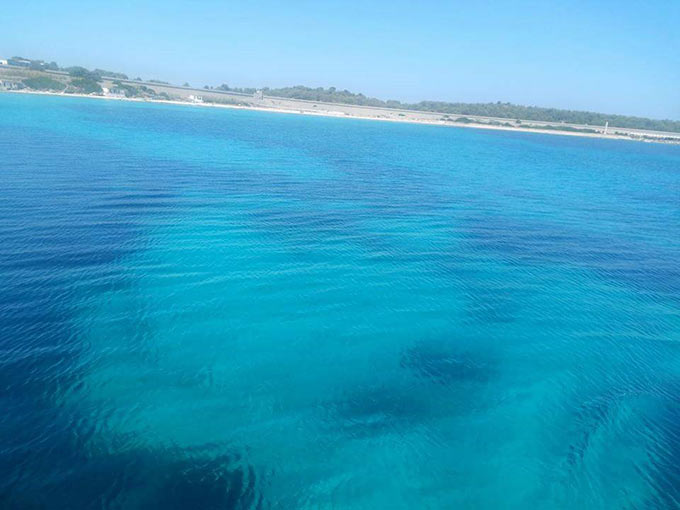 Isola di Pianosa (2)