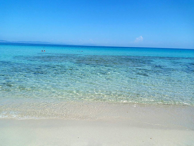 Isola di Pianosa (3)