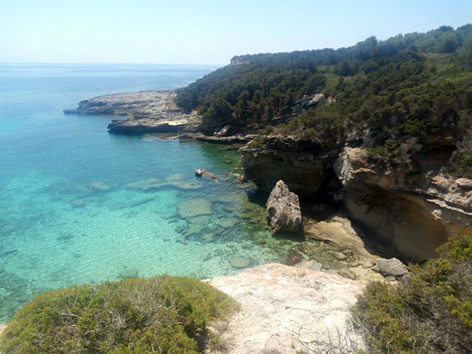 Isola di Pianosa (4)